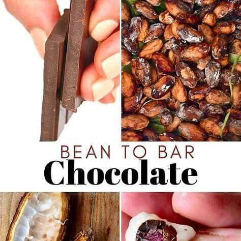 bean-to-bar caco naar chocolade