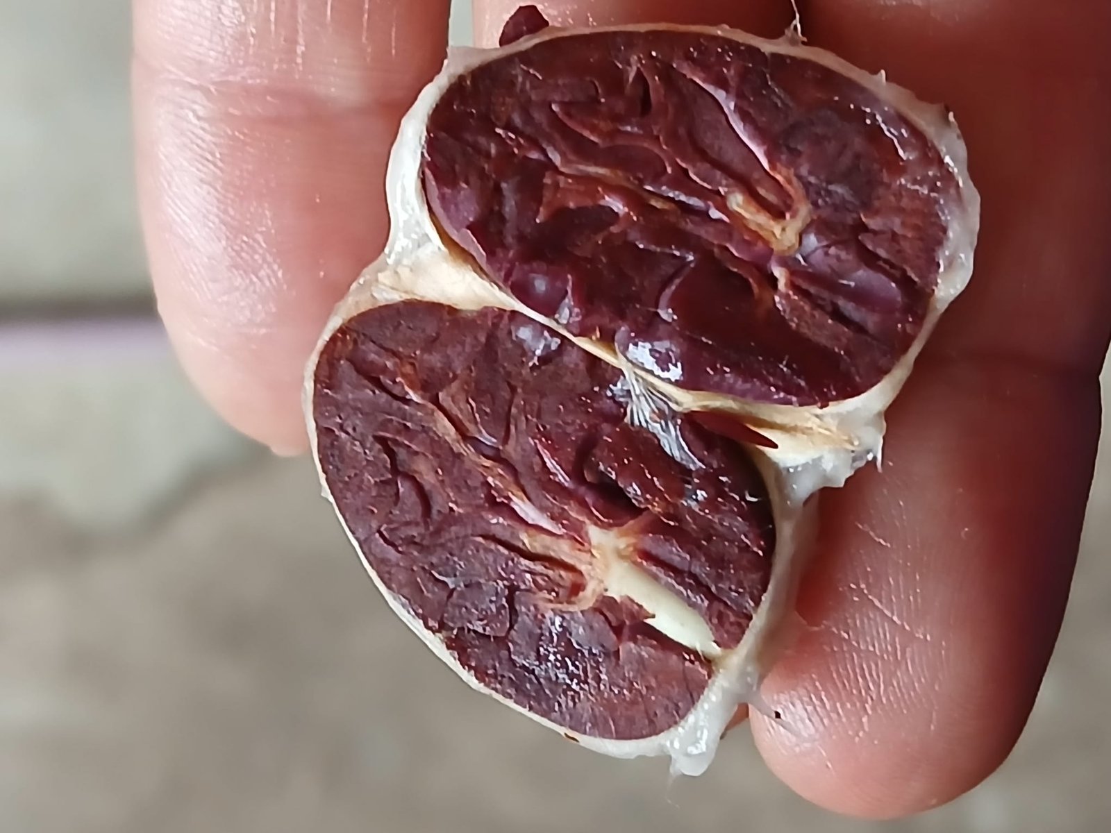 de cacaoboon opengemaakt