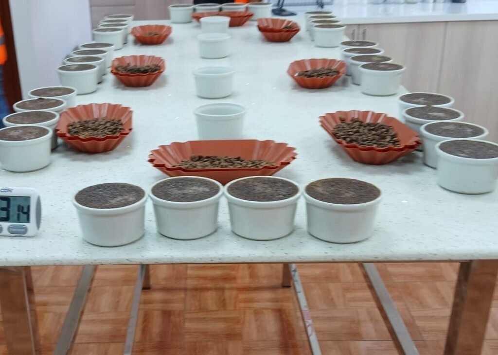 Cupping van Peruaanse koffiebonen
