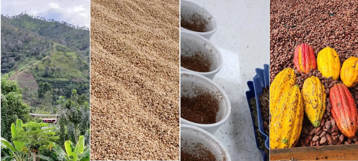 eerlijke koffie en cacao uit Perú