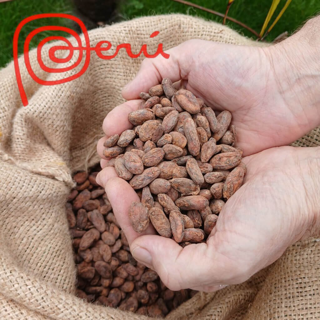Peru Premium Rauwe Cacaobonen Criollo
